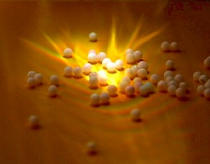 Calcium carbonicum Globuli (Foto: P.Hubbauer CC-BY-SA-3.0)