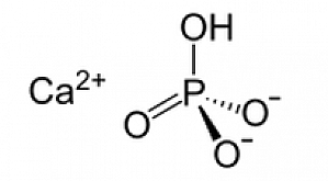 Strukturformel von Calciumhydrogenphosphat (PD)