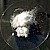 Ammoniumchlorid - Salmiak (PD)