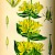 Illustration des Gelben Enzians - Gentiana lutea (PD)