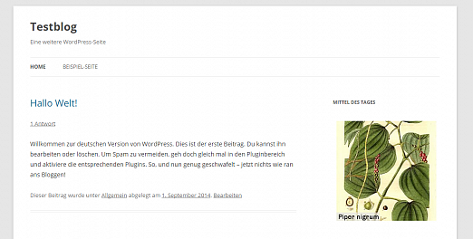 Screenshot mit dem "Online-Homöopathie" Widget "Mittel des Tages"