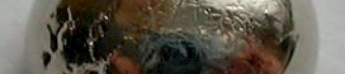 Palladium (Foto: Maksim 2009 cc-by-sa-3.0)